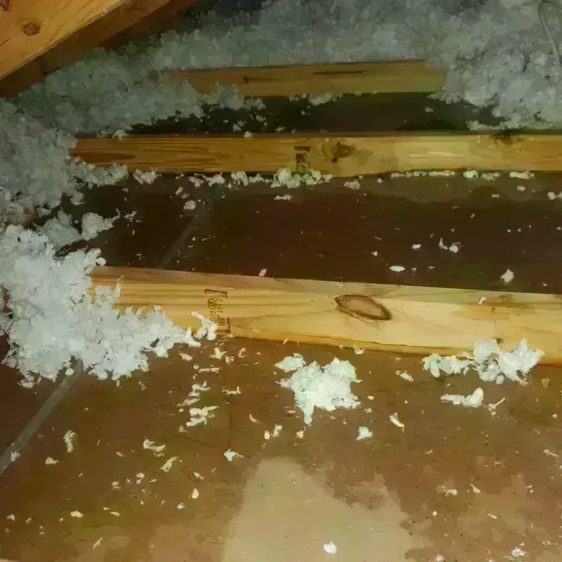 Attic Water Damage in Parmer County, TX